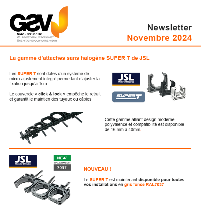 Newsletter 11/2024